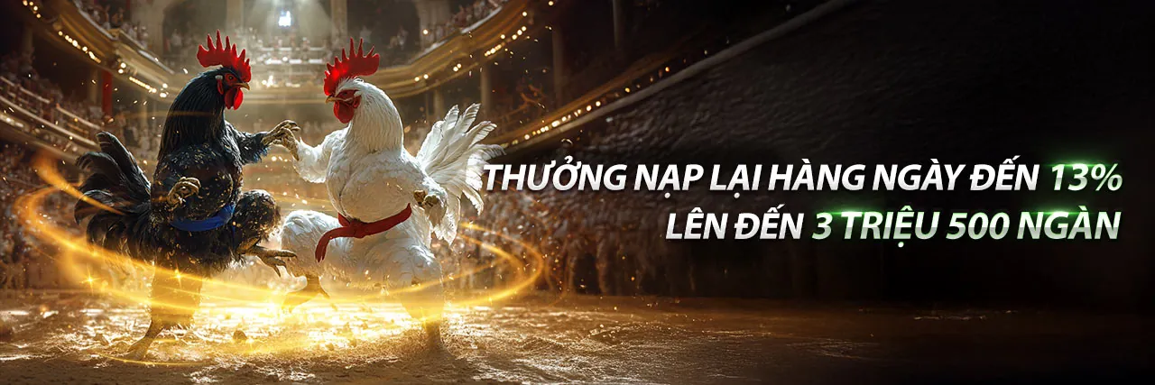 Hình ảnh đá gà trực tuyến kịch tính tại ff168 thể thao, với gà chiến mạnh mẽ trên sàn đấu và khán giả cổ vũ nhiệt tình.